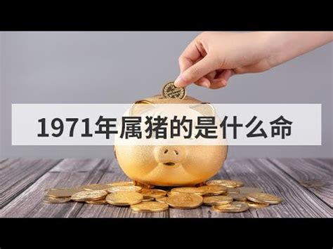 1971是什麼年|1971年